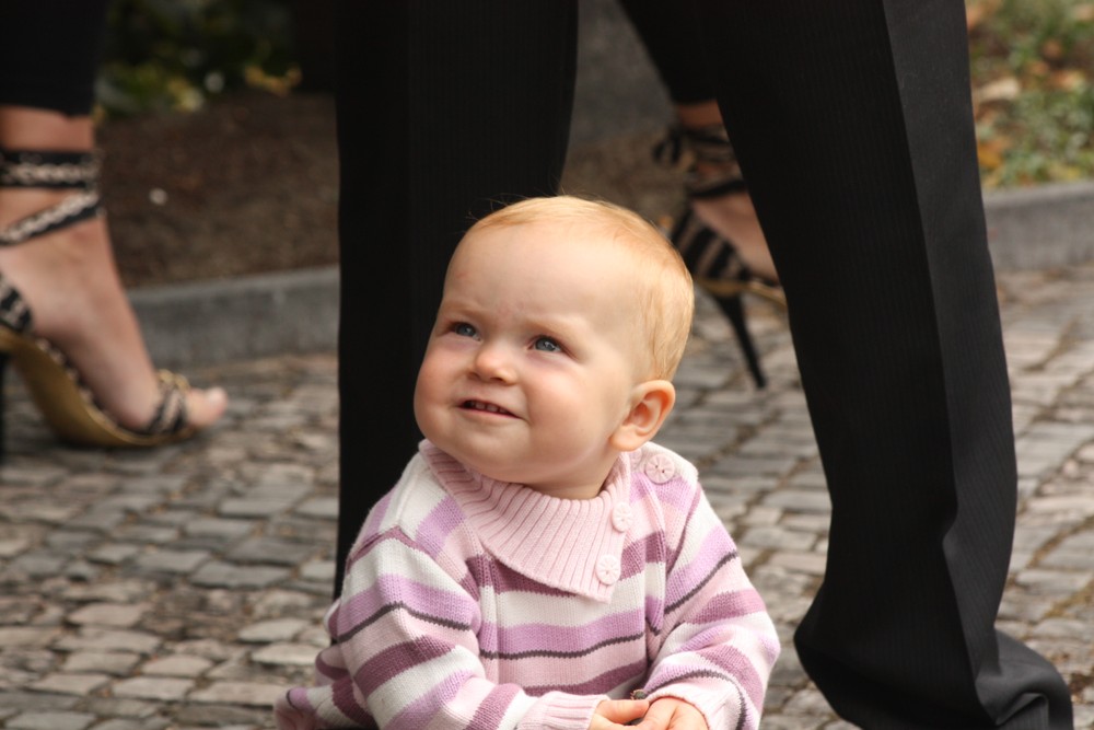 3M Projekt s.r.o. , Praha IČO 10898981