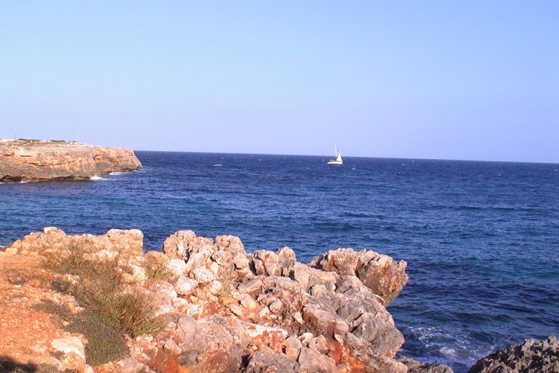 RF TECHNIK spol. s r.o. , Praha IČO 48033430