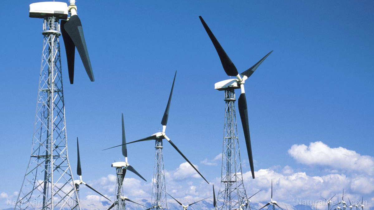 Zelené selhání: Mnoho skotských větrných turbín je poháněno dieselovými palivovými generátory, ze kterých uniká hydraulická kapalina