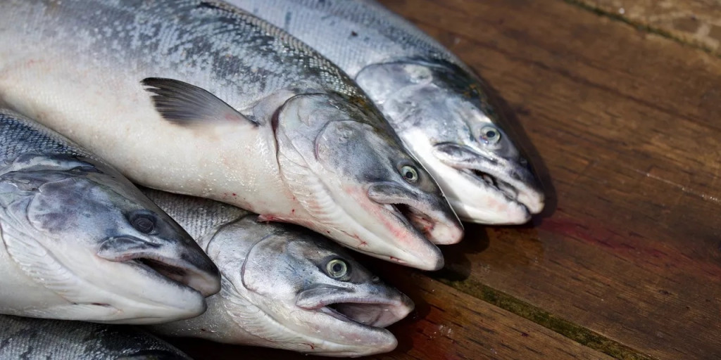 Oblíbená ryba, která zvyšuje riziko hypertenze