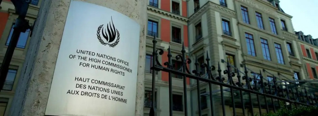 Naléhavá výzva Vysokému komisaři OSN pro lidská práva